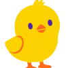 chick